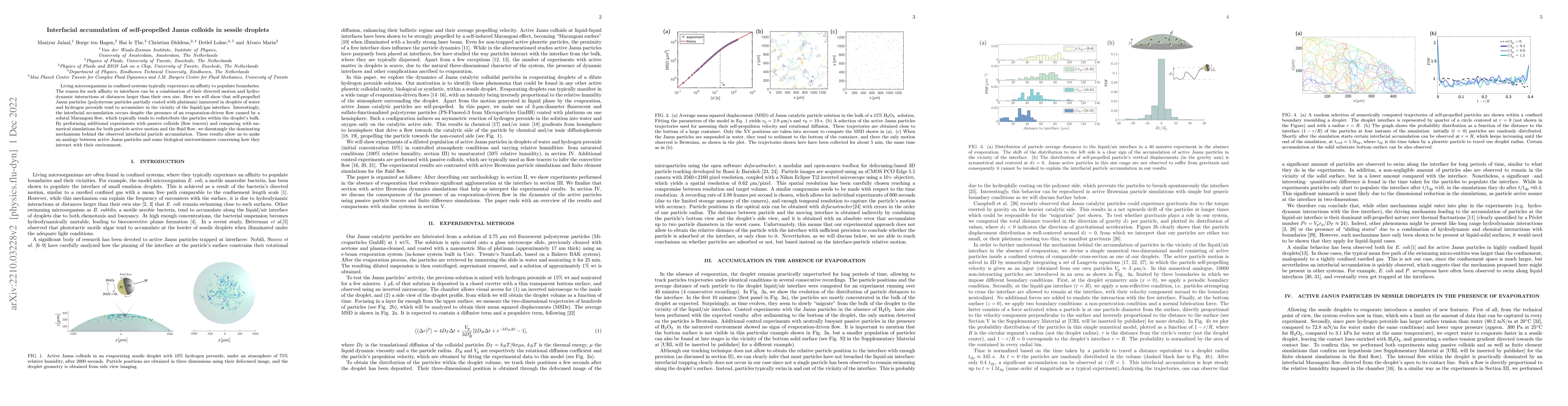 Thumbnail for Interfacial aggregation of self-propelled Janus colloids in sessile
  droplets
