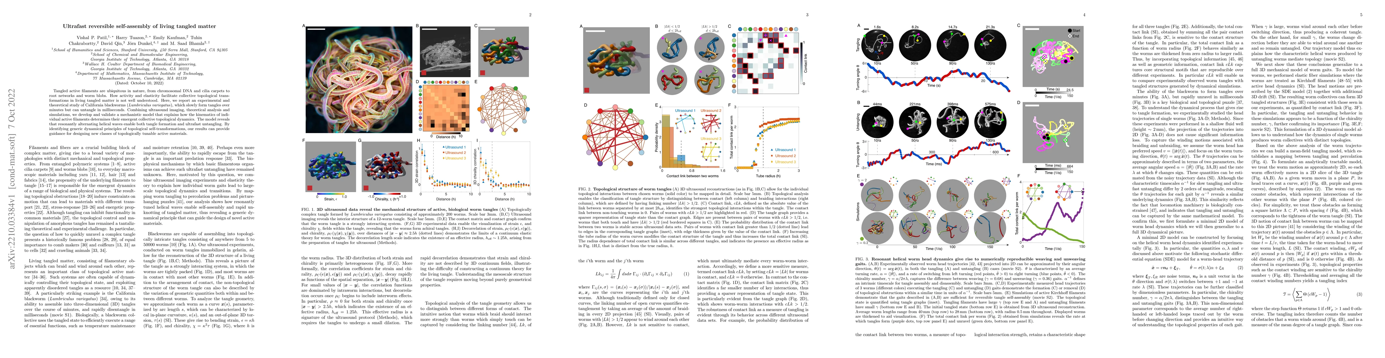 Thumbnail for Ultrafast reversible self-assembly of living tangled matter