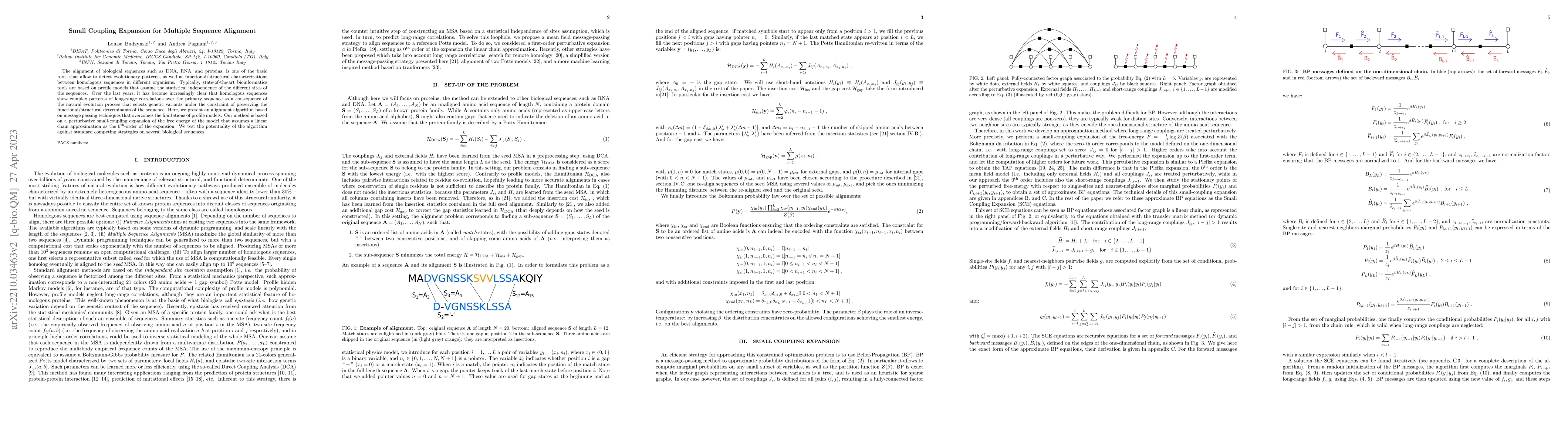 Thumbnail for Small Coupling Expansion for Multiple Sequence Alignment