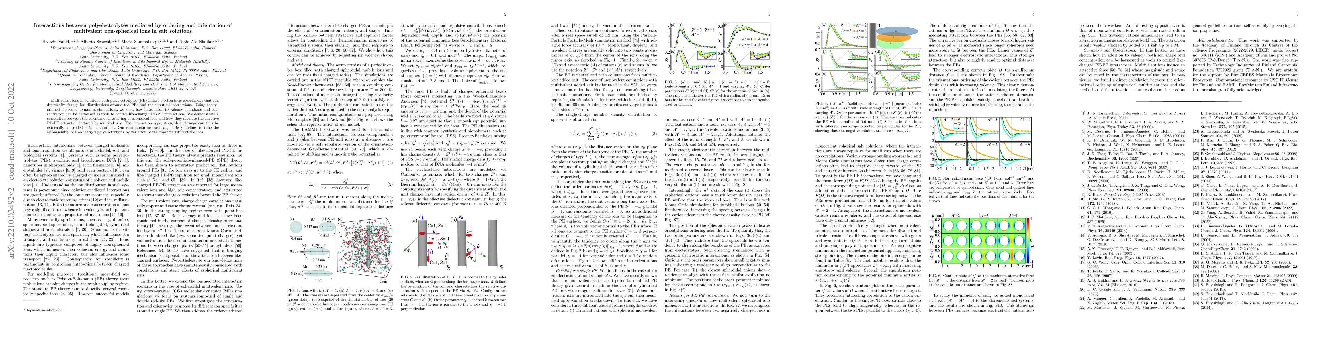 Thumbnail for Interactions between polyelectrolytes mediated by ordering and
  orientation of multivalent non-spherical ions in salt solutions