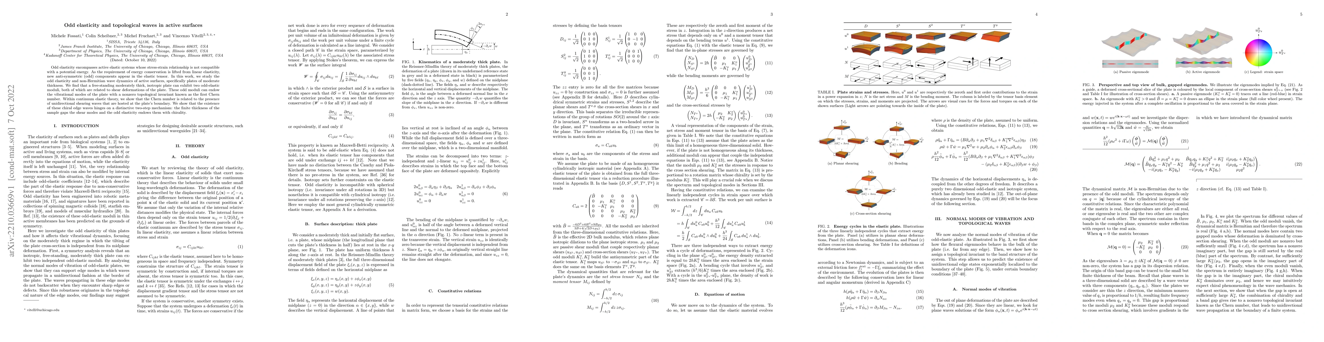 Thumbnail for Odd elasticity and topological waves in active surfaces