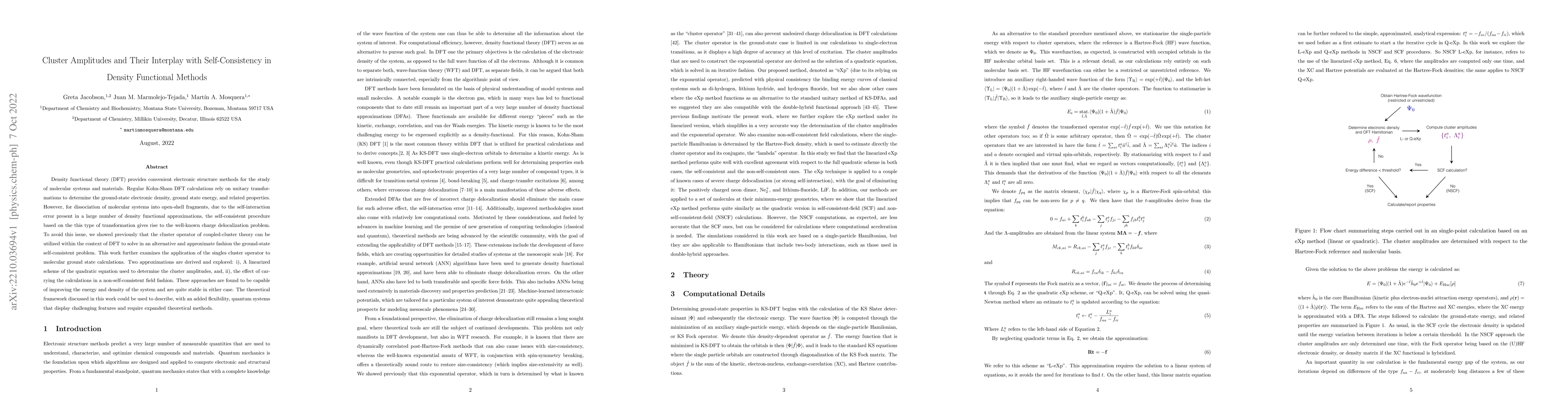 Thumbnail for Cluster Amplitudes and Their Interplay with Self-Consistency in Density
  Functional Methods