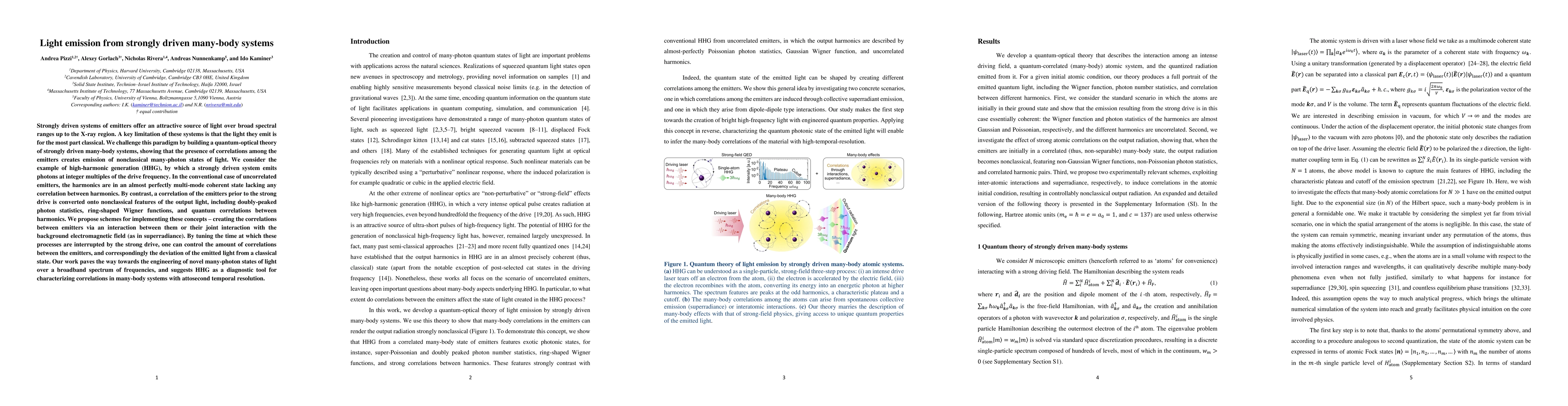 Thumbnail for Light emission from strongly driven many-body systems