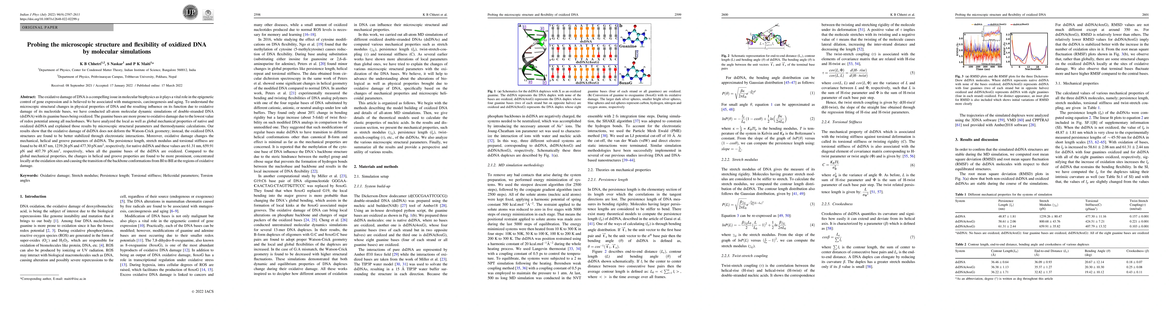 Thumbnail for Probing the microscopic structure and flexibility of oxidized DNA by
  molecular simulations