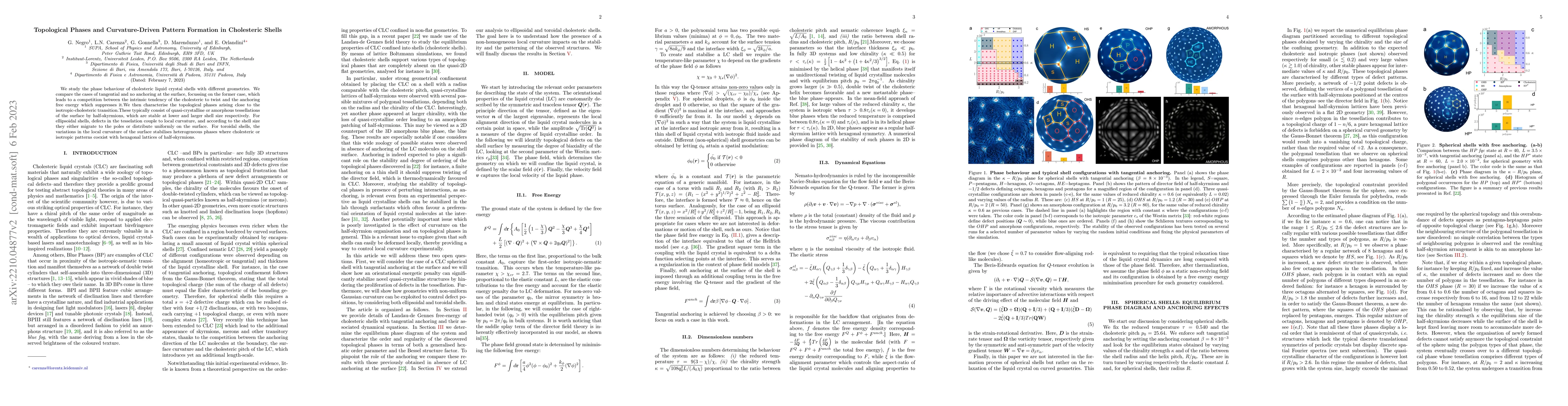Thumbnail for Topological Phases and Curvature-Driven Pattern Formation in Cholesteric
  Shells