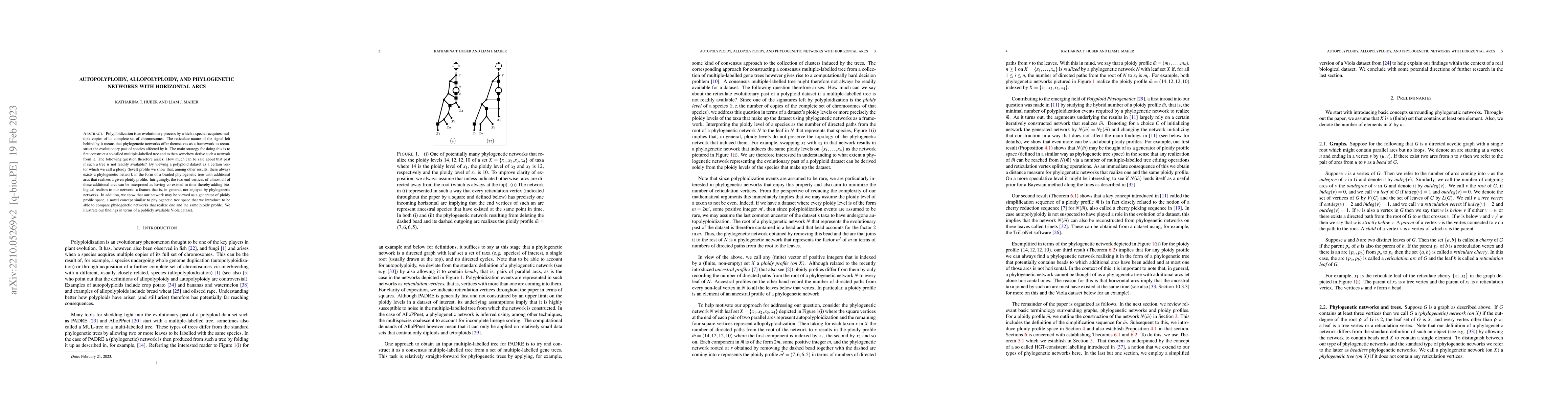 Thumbnail for Autopolyploidy, allopolyploidy, and phylogenetic networks with
  horizontal arcs