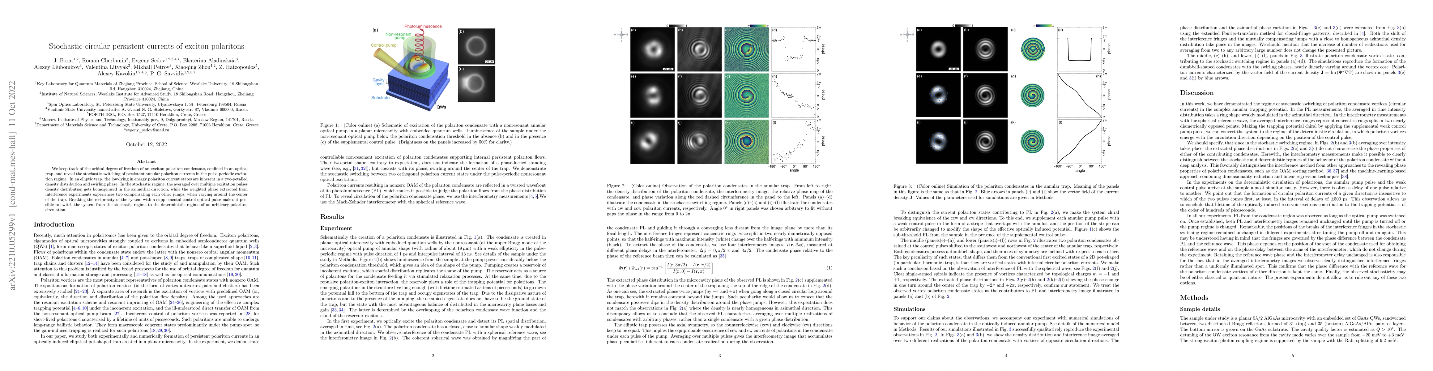 Thumbnail for Stochastic circular persistent currents of exciton polaritons