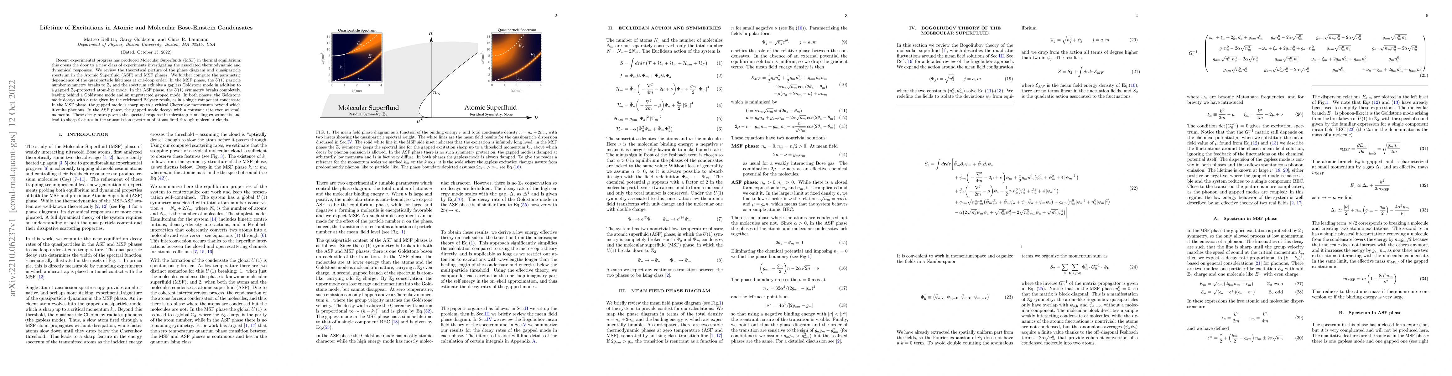 Thumbnail for Lifetime of Excitations in Atomic and Molecular Bose-Einstein
  Condensates