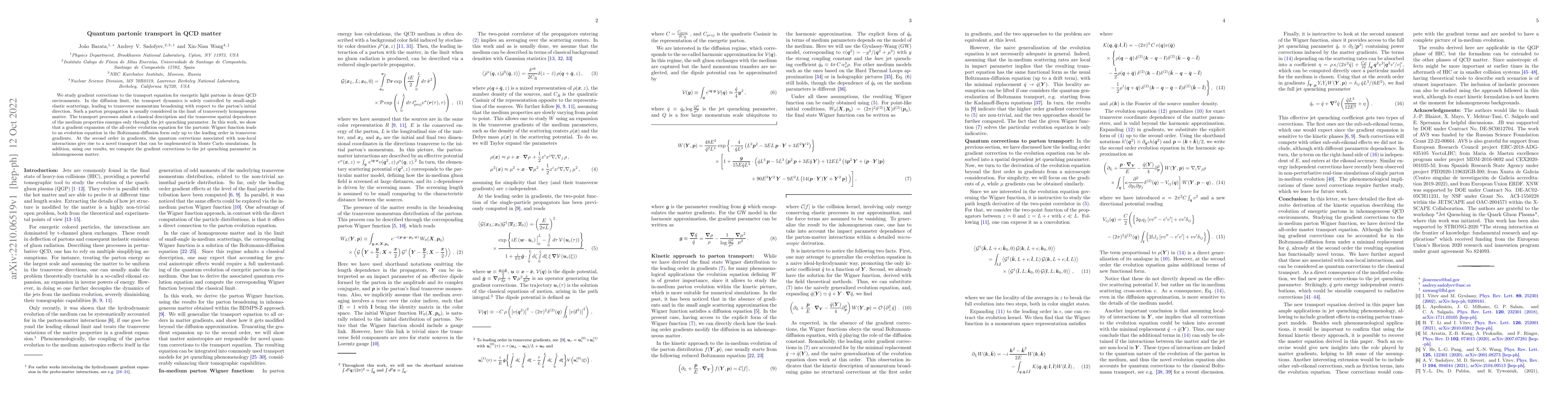 Thumbnail for Quantum partonic transport in QCD matter
