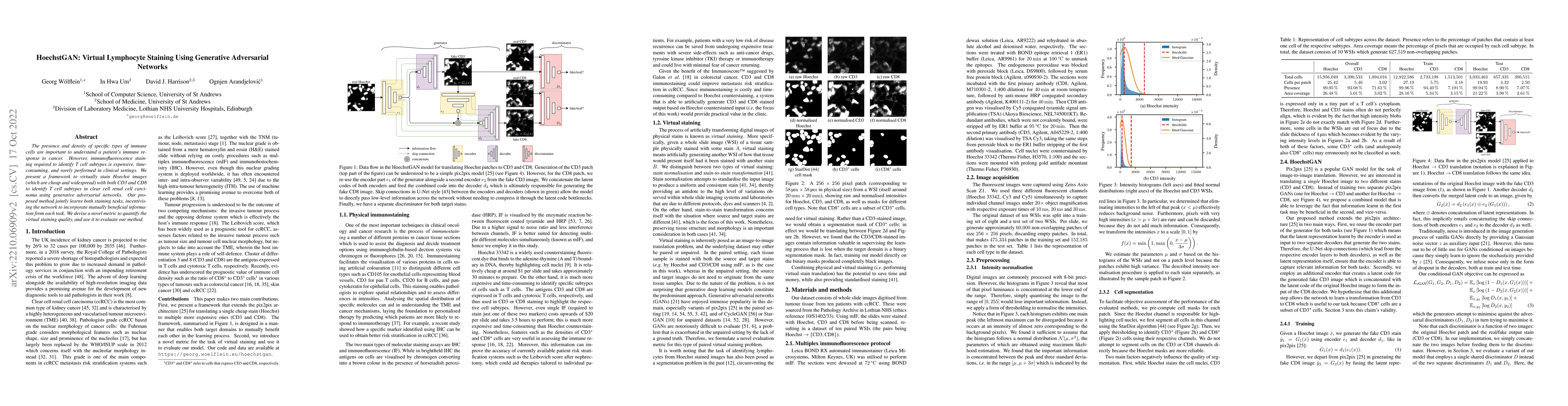 Thumbnail for HoechstGAN: Virtual Lymphocyte Staining Using Generative Adversarial
  Networks