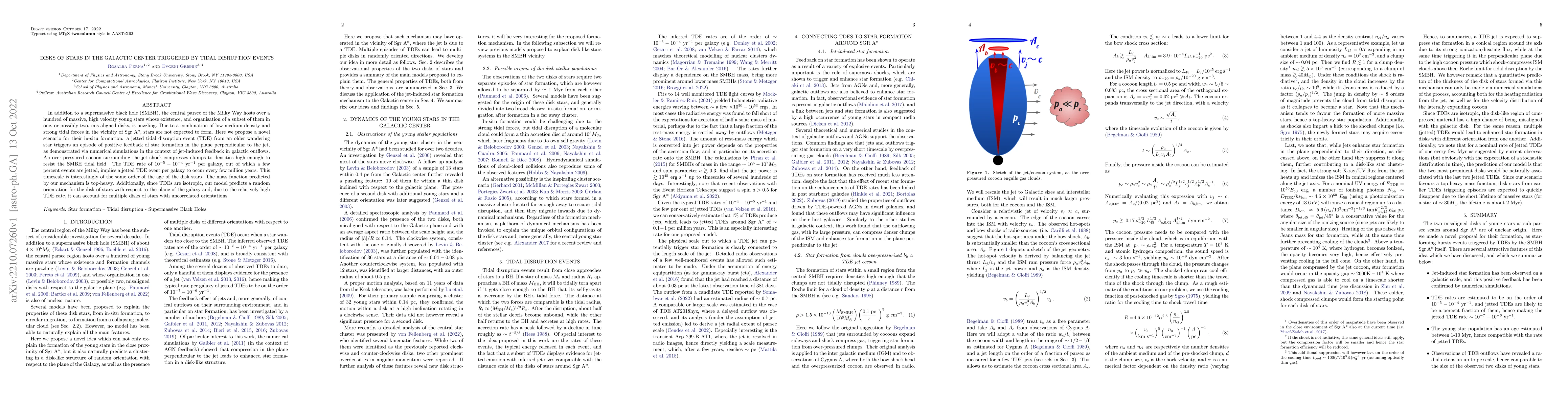 Thumbnail for Disks of Stars in the Galactic center triggered by Tidal Disruption
  Events