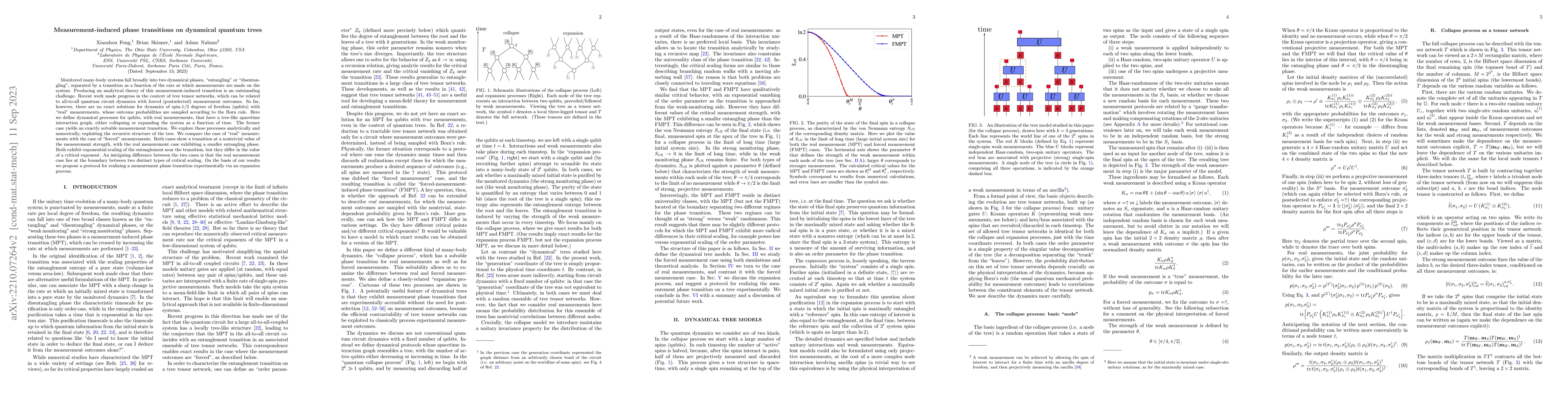 Thumbnail for Measurement-induced phase transitions on dynamical quantum trees