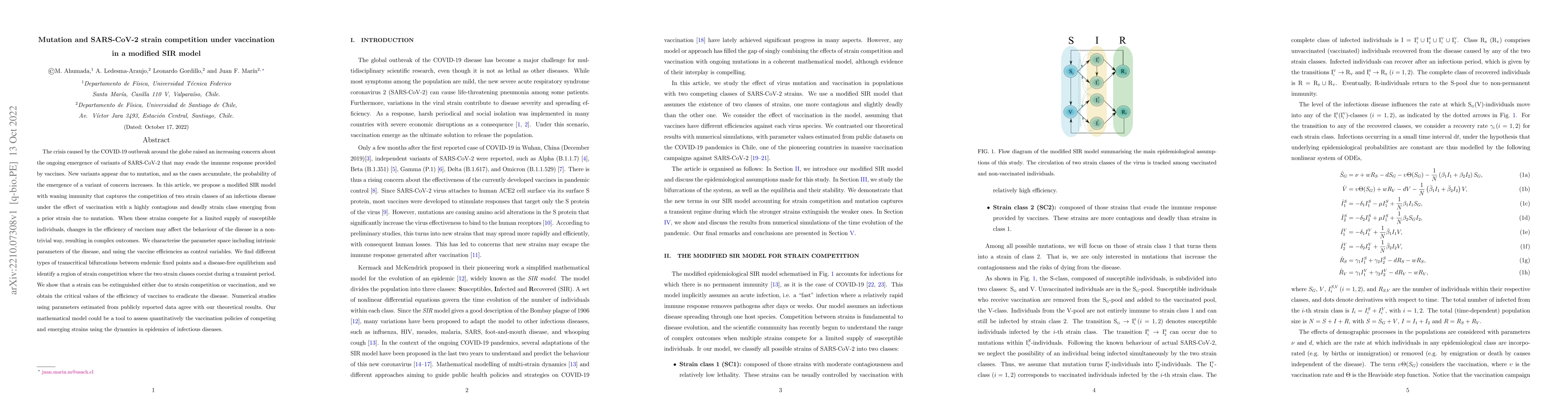 Thumbnail for Mutation and SARS-CoV-2 strain competition under vaccination in a
  modified SIR model