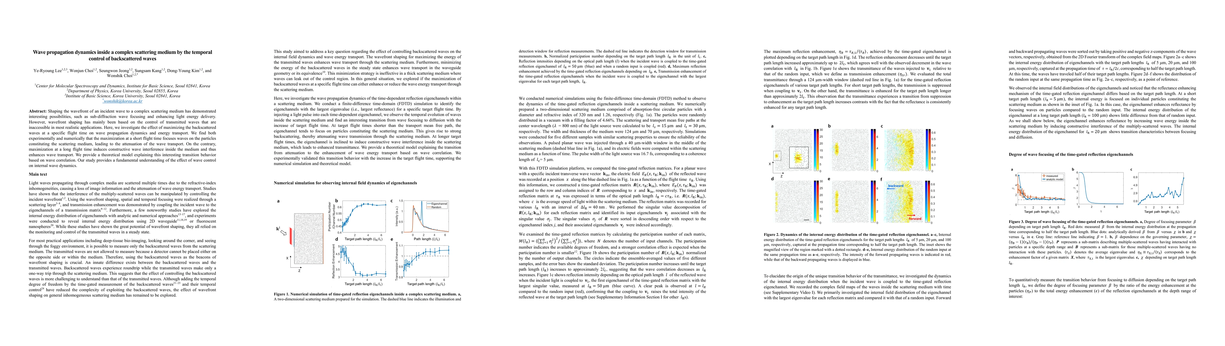 Thumbnail for Wave propagation dynamics inside a complex scattering medium by the
  temporal control of backscattered waves