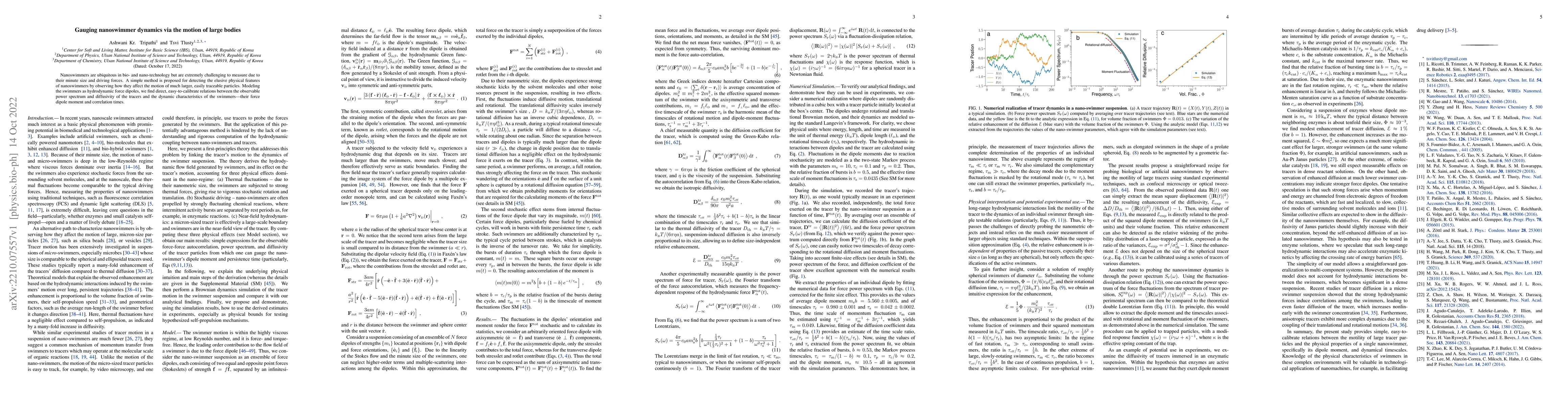 Thumbnail for Gauging nanoswimmer dynamics via the motion of large bodies