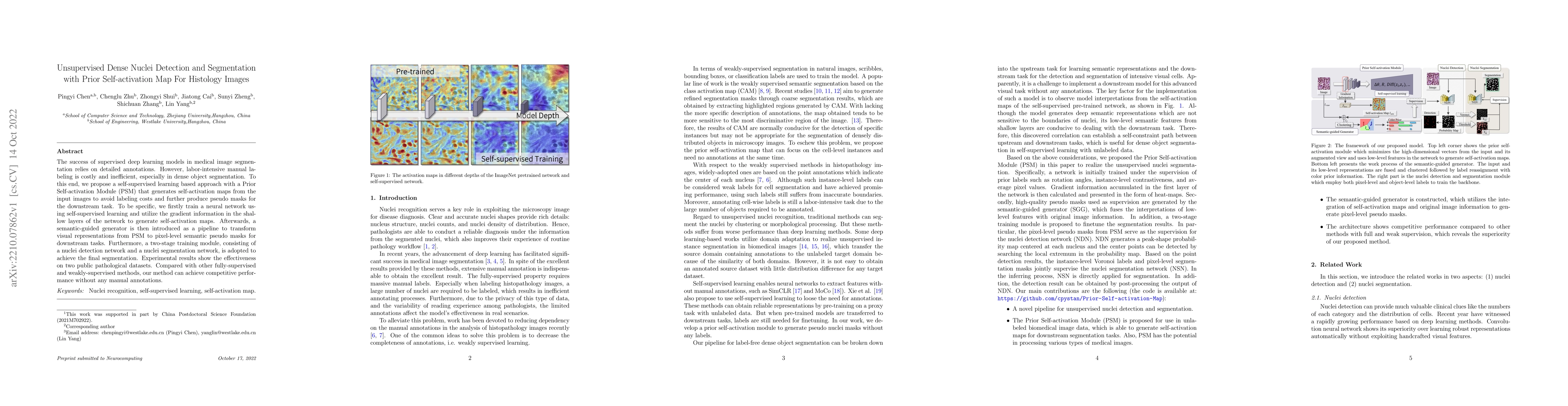Thumbnail for Unsupervised Dense Nuclei Detection and Segmentation with Prior
  Self-activation Map For Histology Images