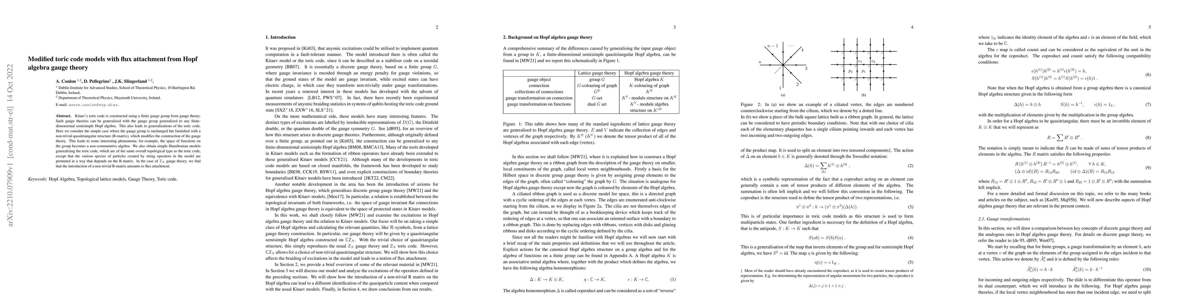 Thumbnail for Modified toric code models with flux attachment from Hopf algebra gauge
  theory