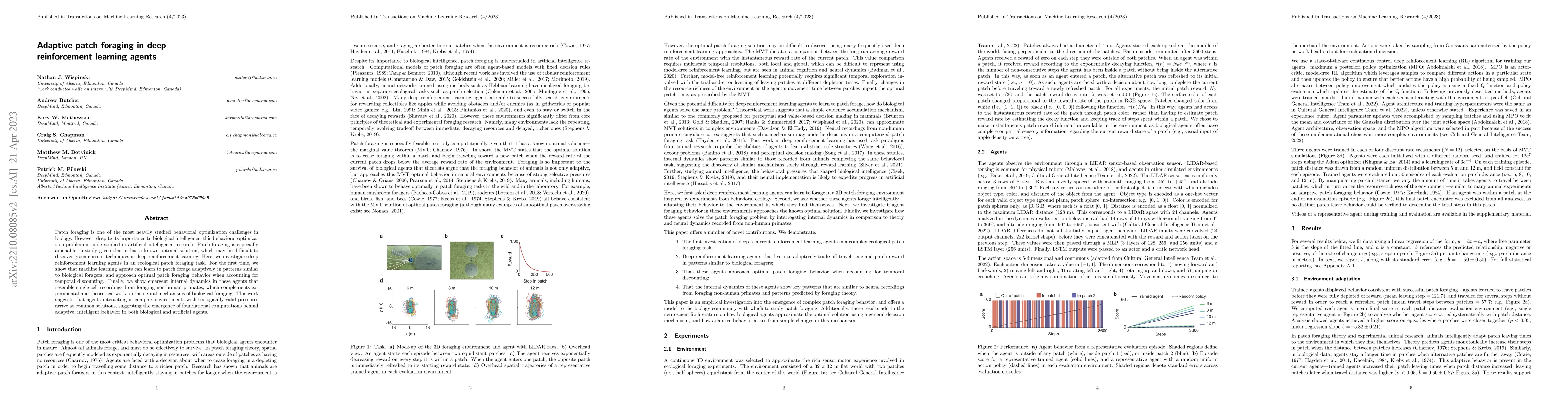 Thumbnail for Adaptive patch foraging in deep reinforcement learning agents