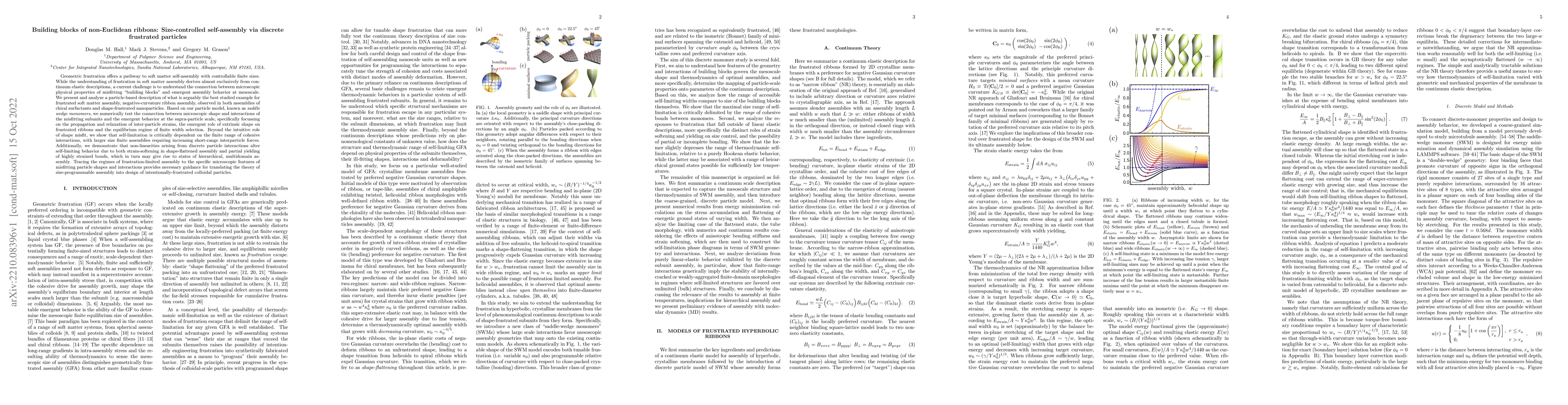 Thumbnail for Building blocks of non-Euclidean ribbons: Size-controlled self-assembly
  via discrete, frustrated particles