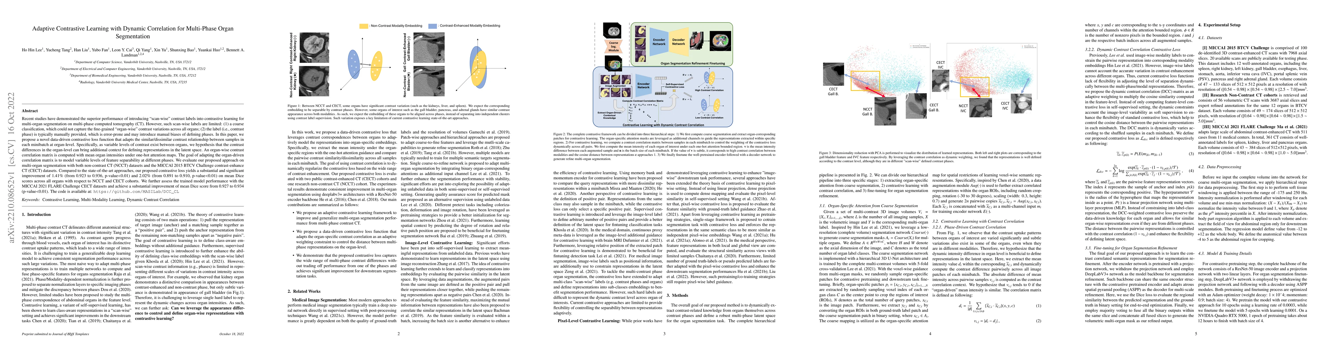 Thumbnail for Adaptive Contrastive Learning with Dynamic Correlation for Multi-Phase
  Organ Segmentation