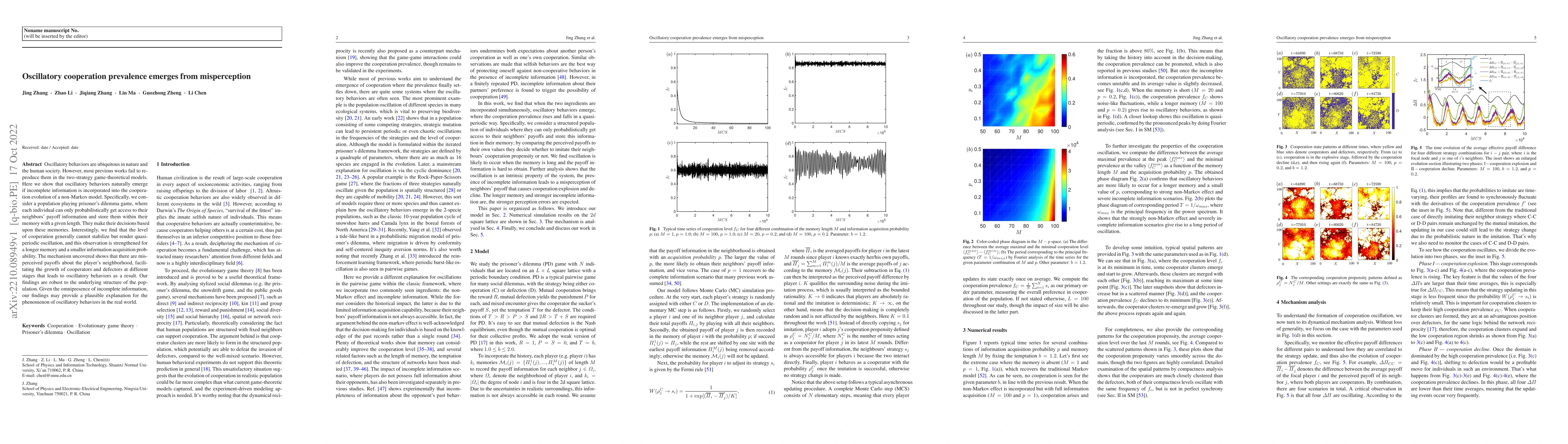 Thumbnail for Oscillatory cooperation prevalence emerges from misperception