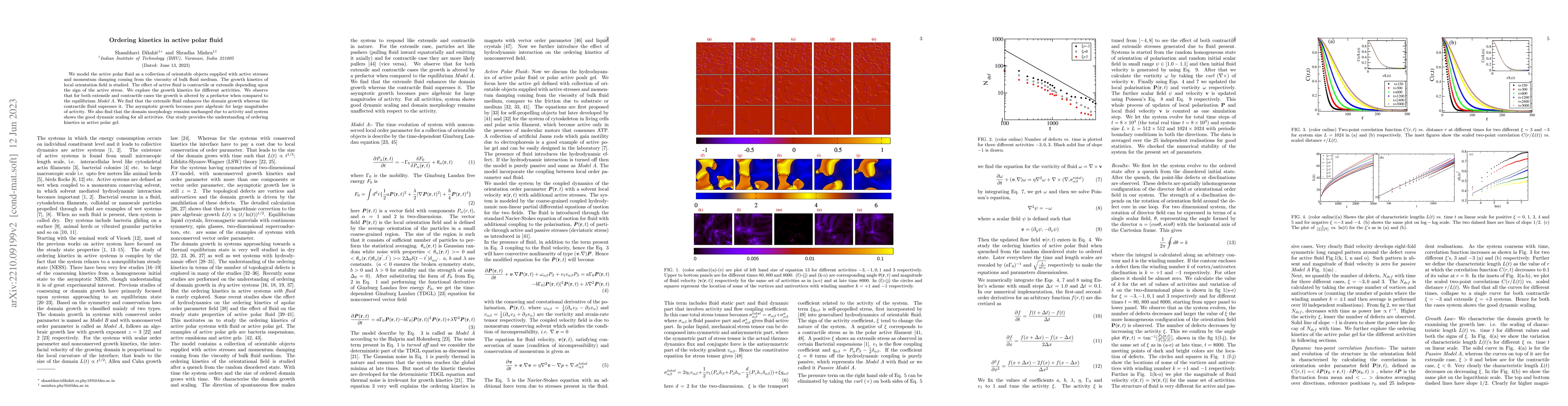 Thumbnail for Ordering kinetics in active polar fluid