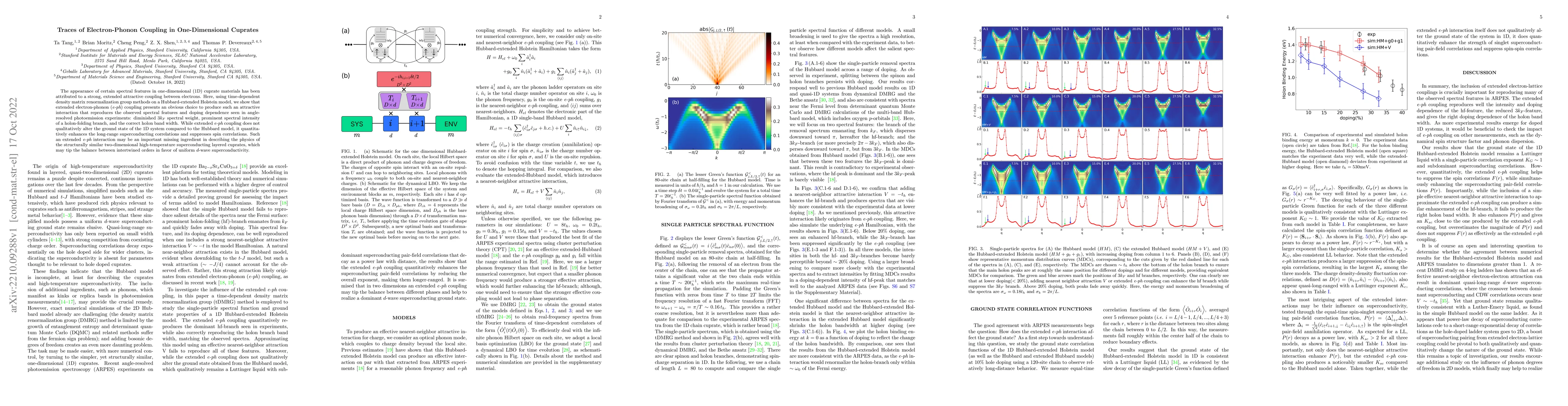 Thumbnail for Traces of Electron-Phonon Coupling in One-Dimensional Cuprates