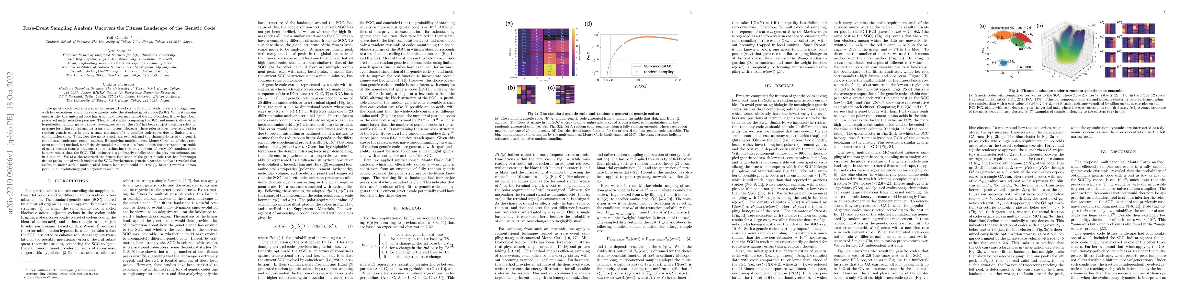 Thumbnail for Rare-Event Sampling Analysis Uncovers the Fitness Landscape of the
  Genetic Code