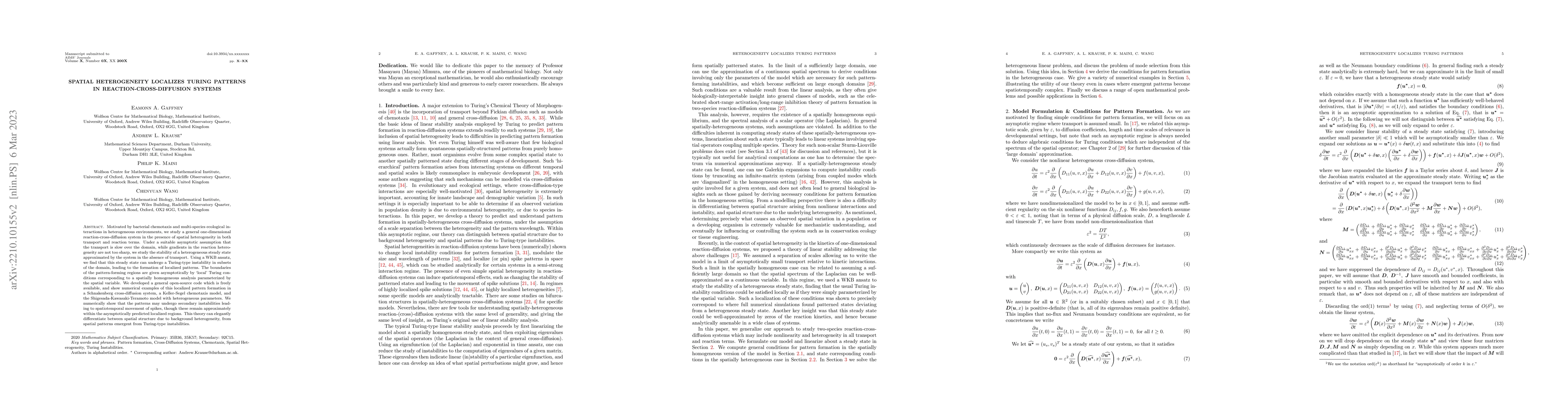 Thumbnail for Spatial Heterogeneity Localizes Turing Patterns in
  Reaction-Cross-Diffusion Systems