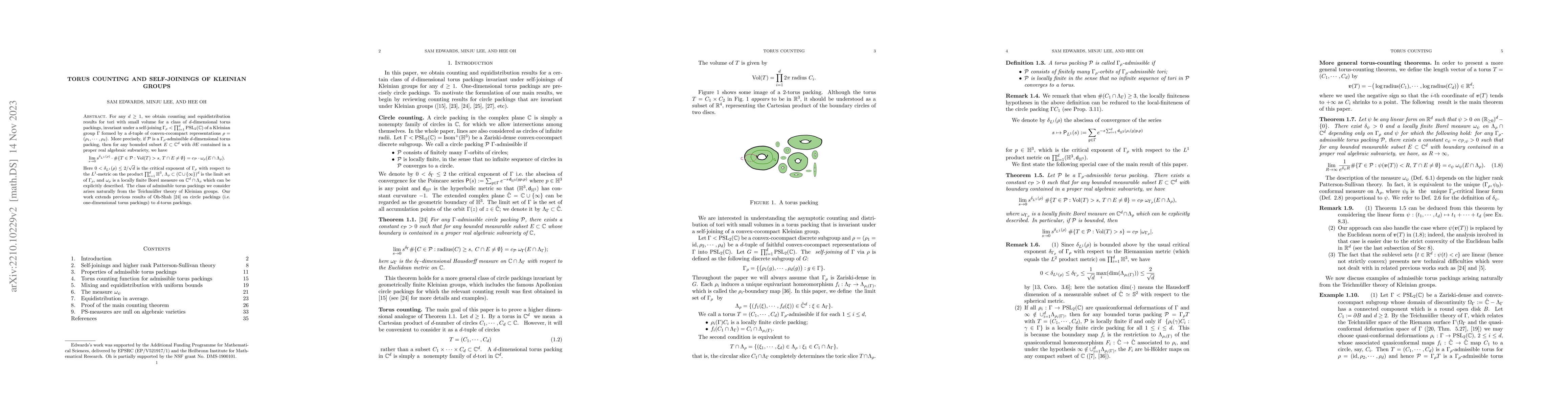 Thumbnail for Torus counting and self-joinings of Kleinian groups