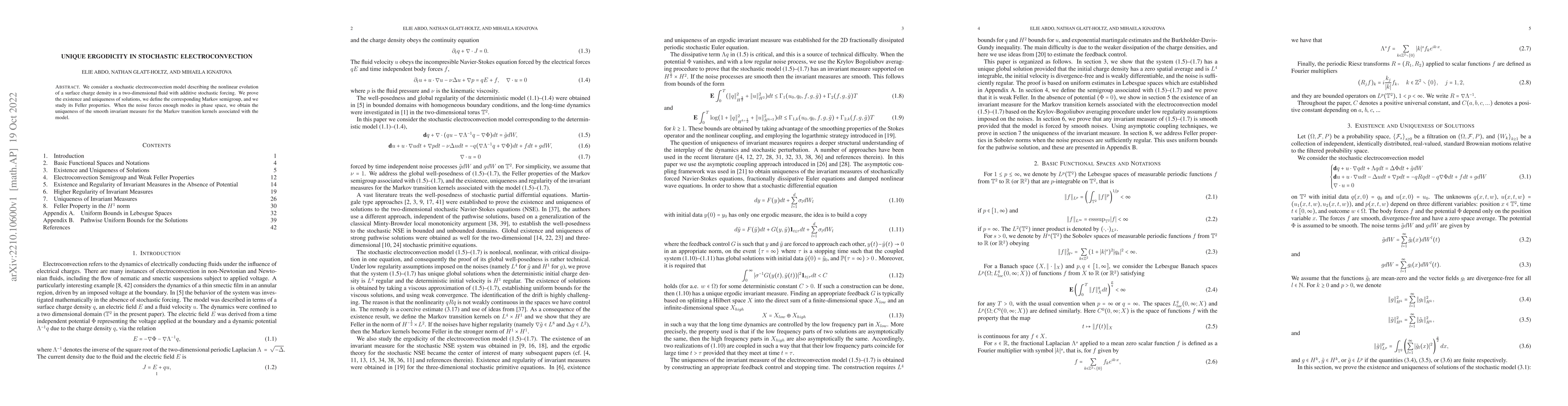 Thumbnail for Unique Ergodicity in Stochastic Electroconvection