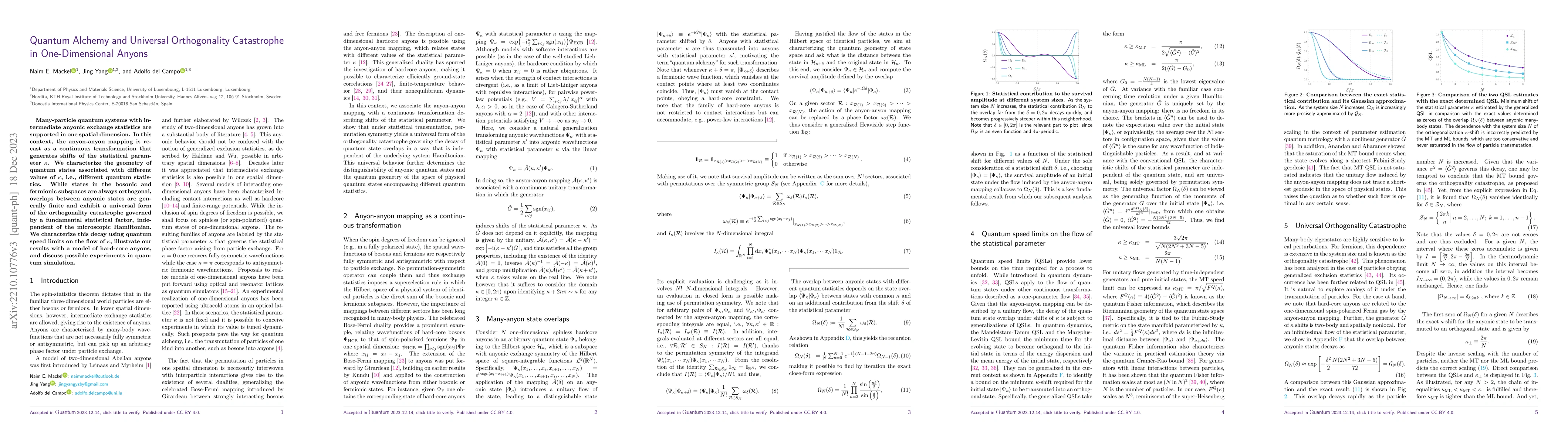 Thumbnail for Quantum Alchemy and Universal Orthogonality Catastrophe in
  One-Dimensional Anyons