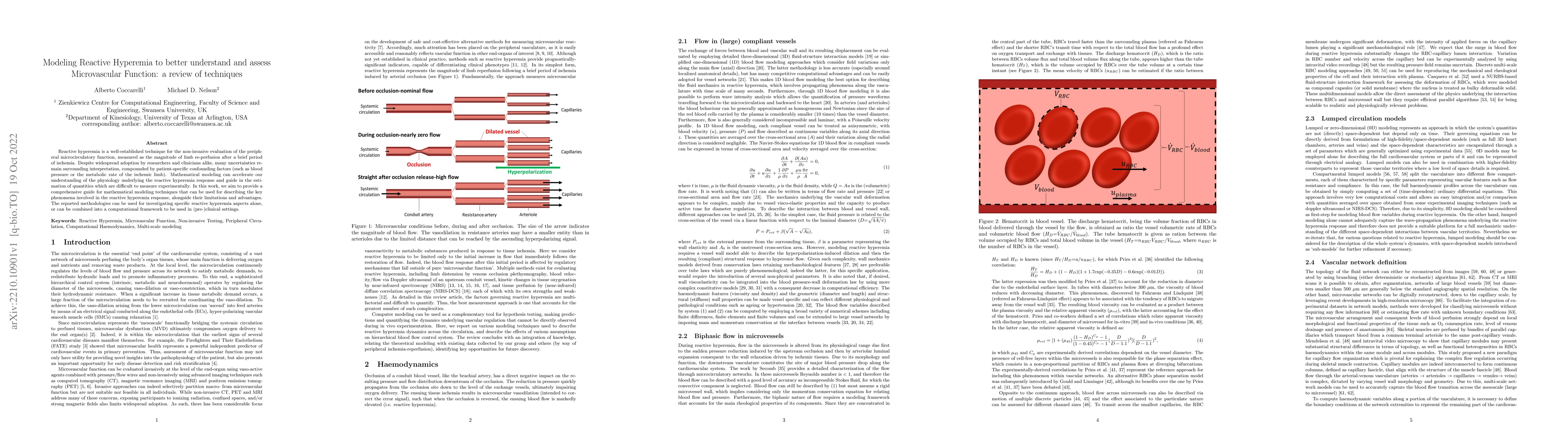 Thumbnail for Modeling Reactive Hyperemia to better understand and assess
  Microvascular Function: a review of techniques