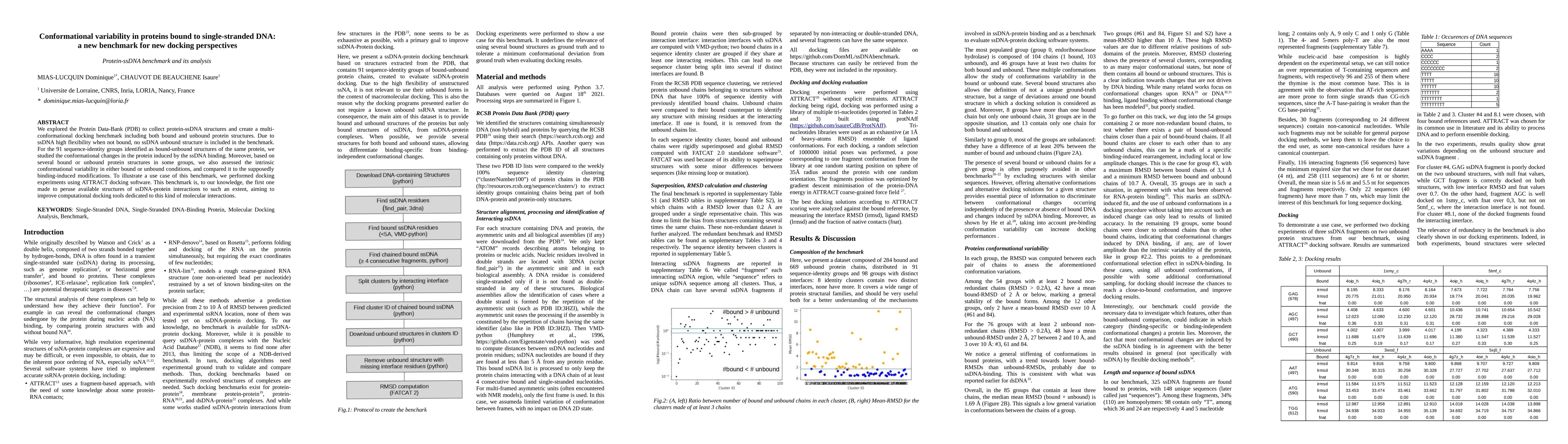 Thumbnail for Conformational variability in proteins bound to single-stranded DNA: a
  new benchmark for new docking perspectives