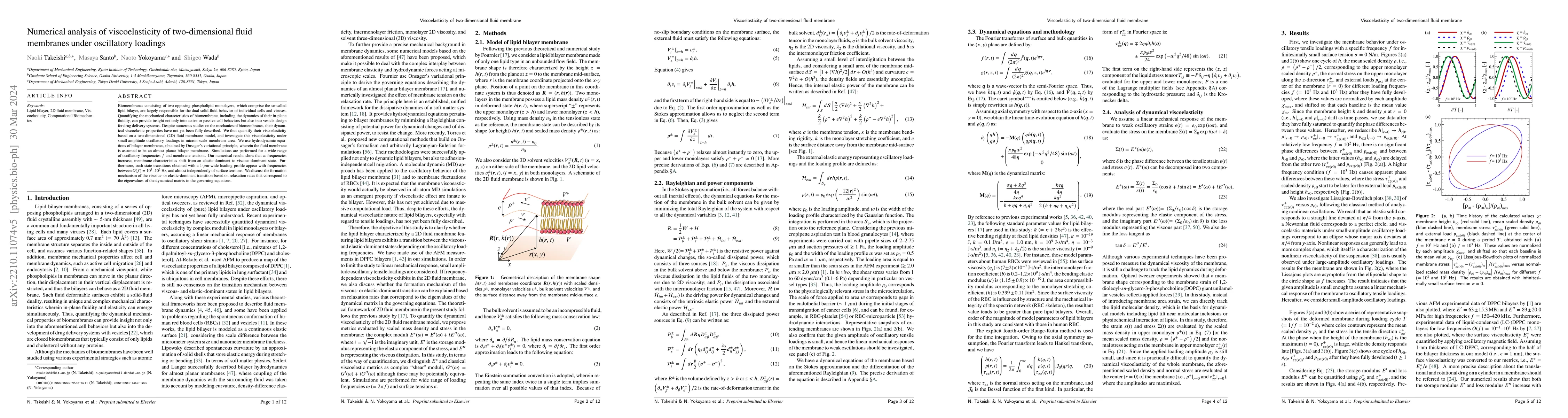 Thumbnail for Numerical analysis of viscoelasticity of two-dimensional fluid membranes
  under oscillatory loadings