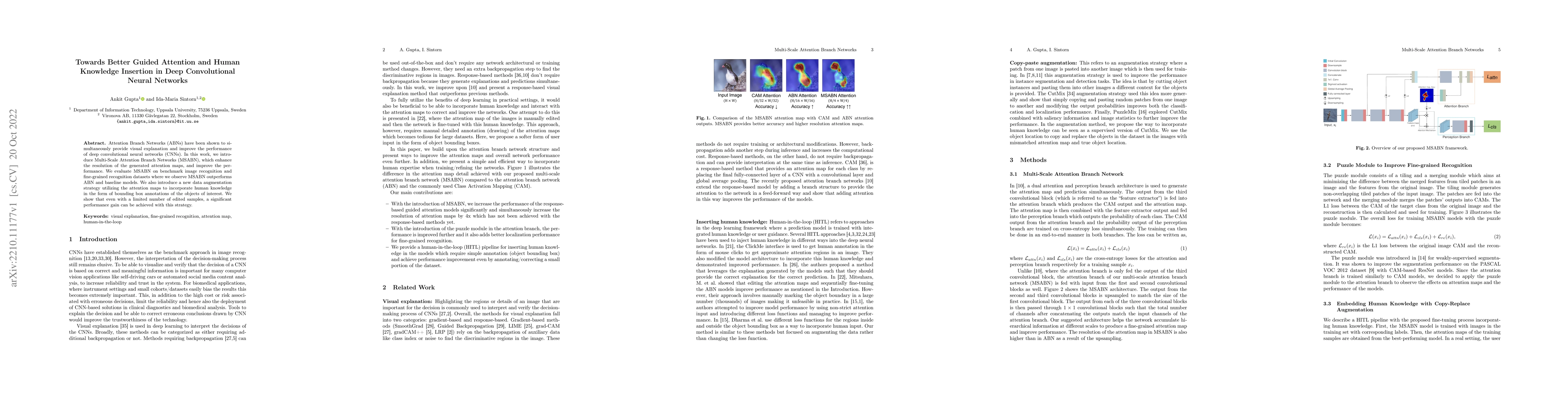 Thumbnail for Towards Better Guided Attention and Human Knowledge Insertion in Deep
  Convolutional Neural Networks