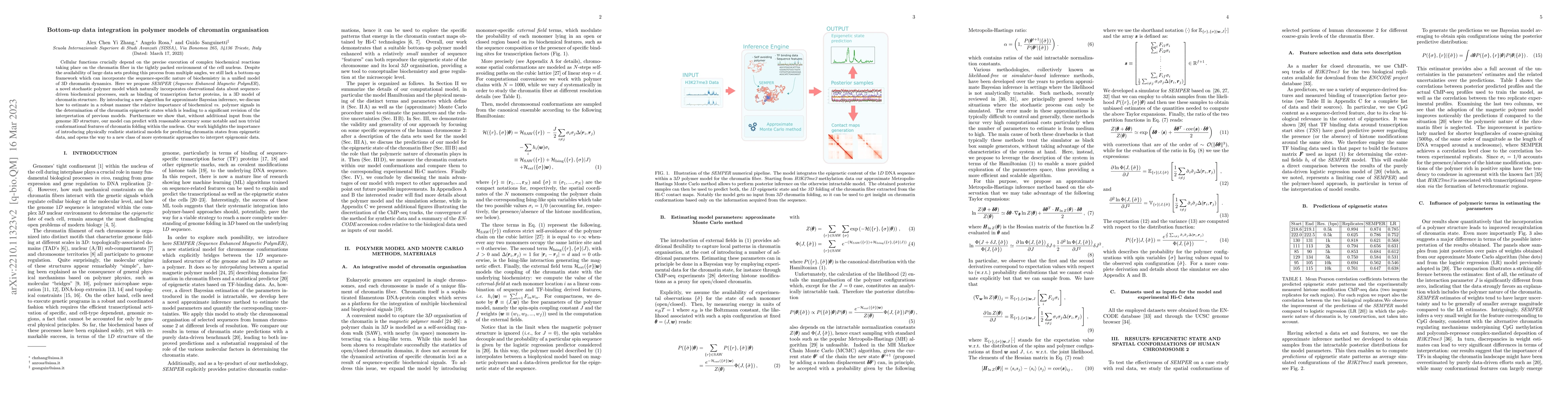 Thumbnail for Bottom-up data integration in polymer models of chromatin organisation