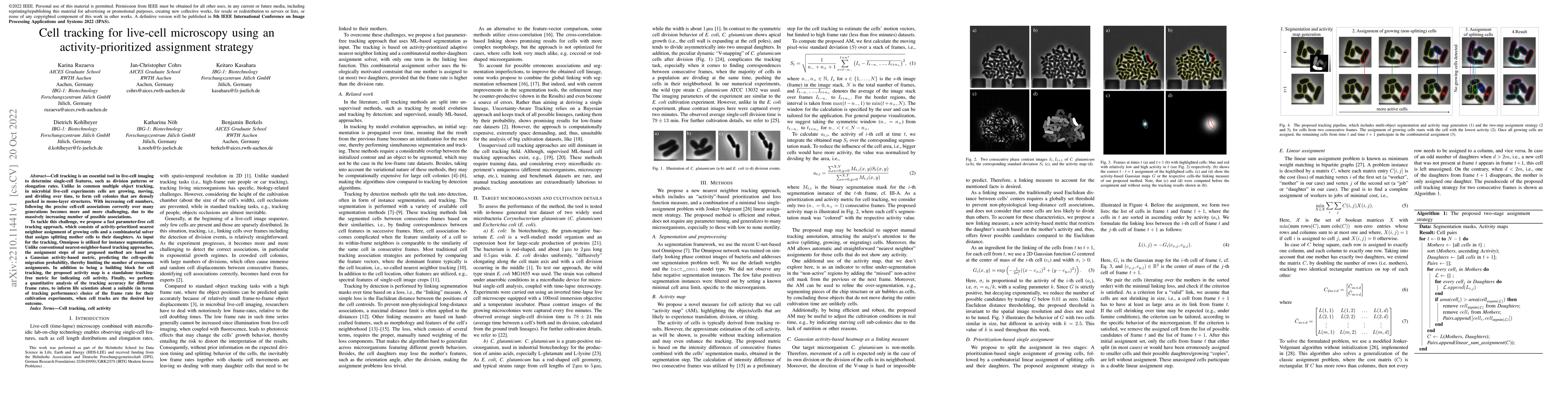 Thumbnail for Cell tracking for live-cell microscopy using an activity-prioritized
  assignment strategy