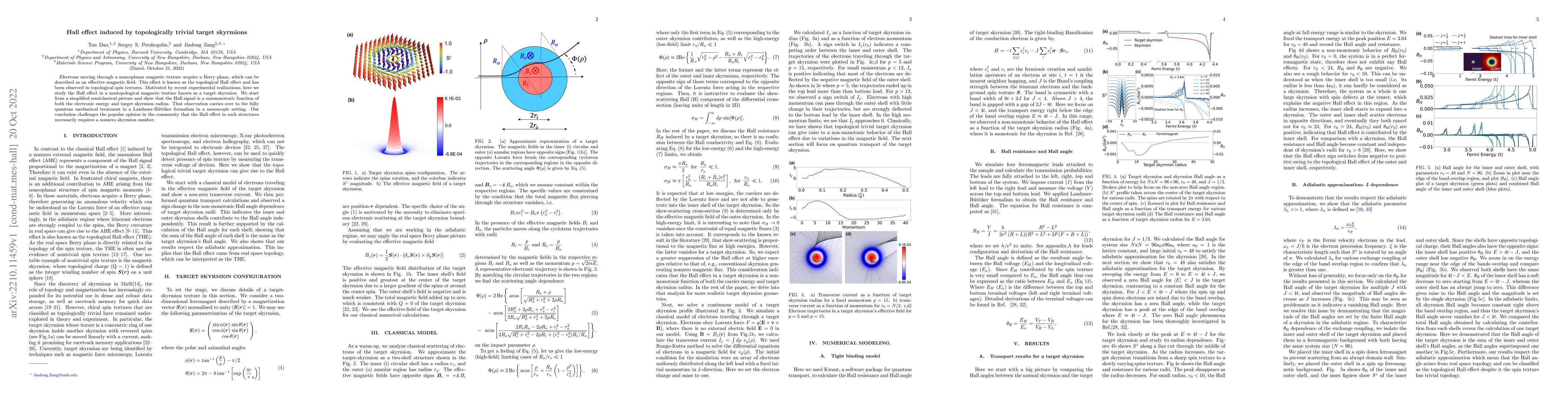 Thumbnail for Hall Effect Induced by Topologically Trivial Target Skyrmions