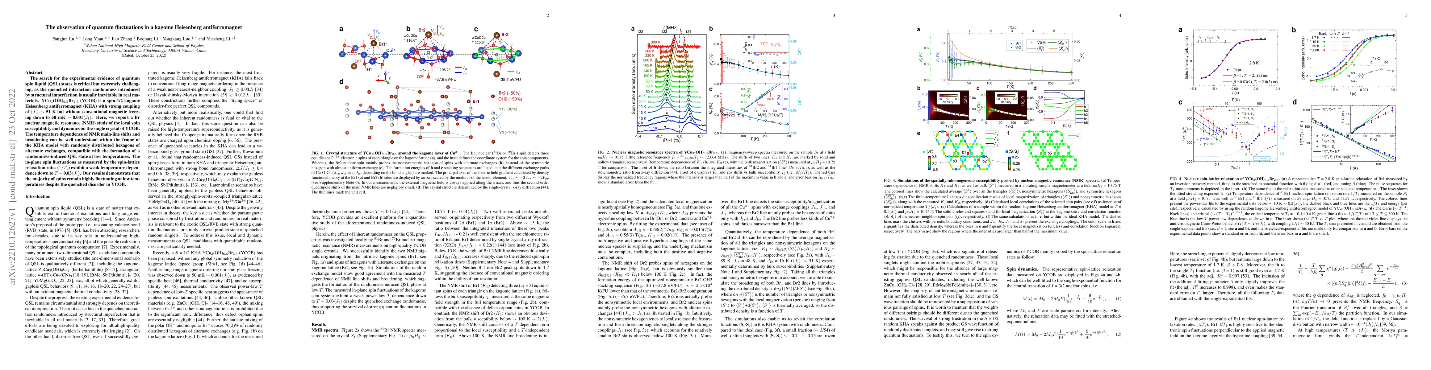 Thumbnail for The observation of quantum fluctuations in a kagome Heisenberg
  antiferromagnet