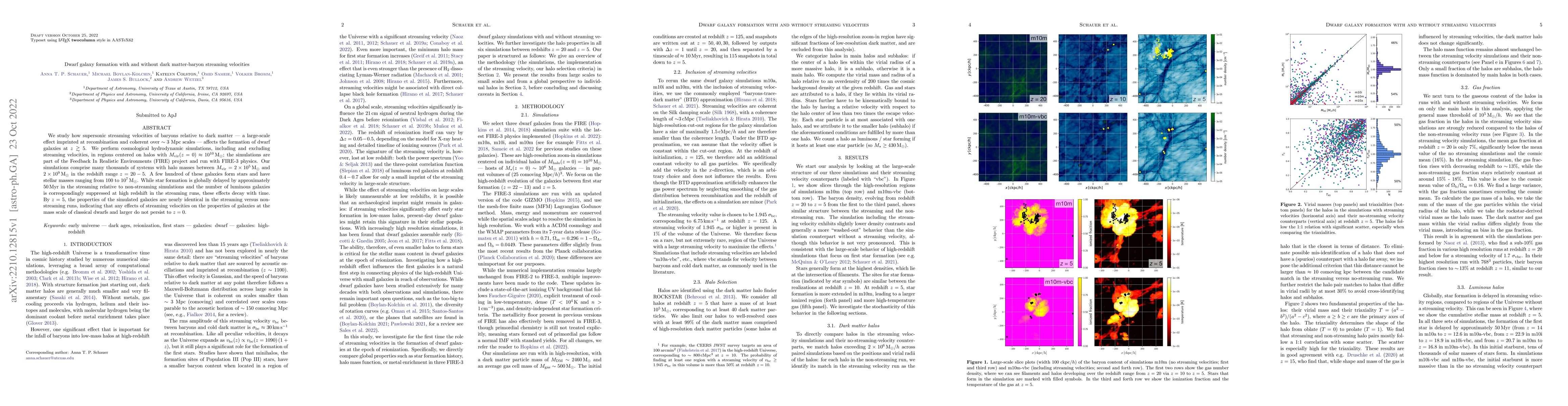 Thumbnail for Dwarf galaxy formation with and without dark matter-baryon streaming
  velocities