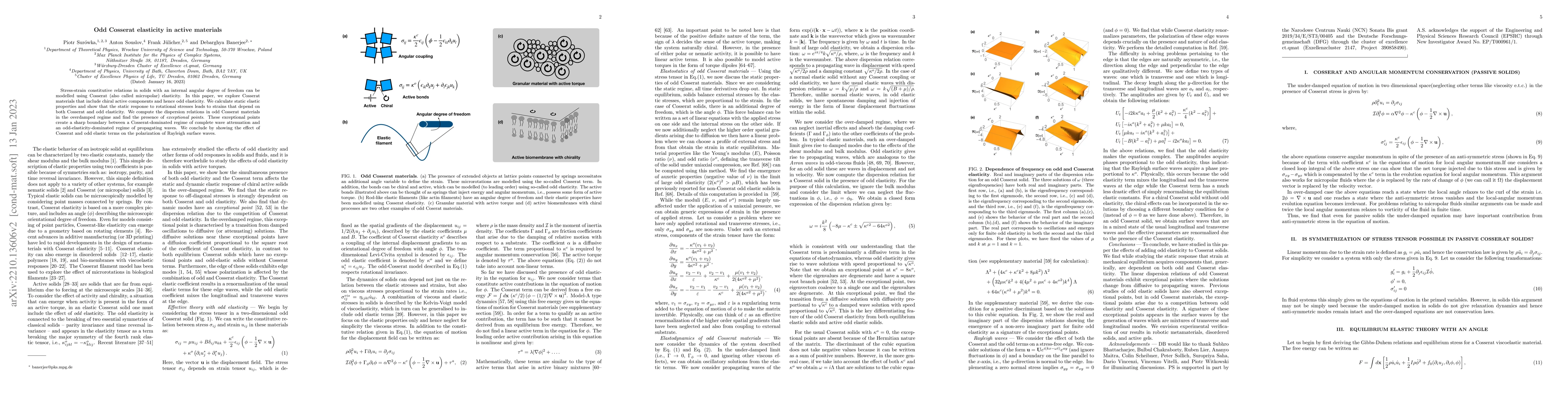 Thumbnail for Odd Cosserat elasticity in active materials