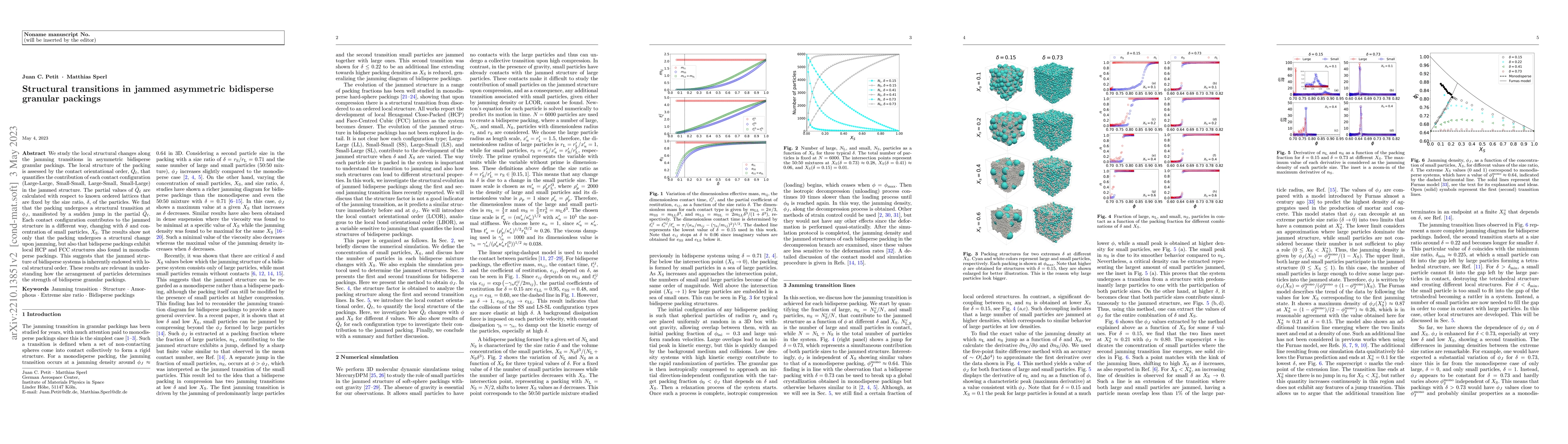 Thumbnail for Structural transitions in jammed asymmetric bidisperse granular packings