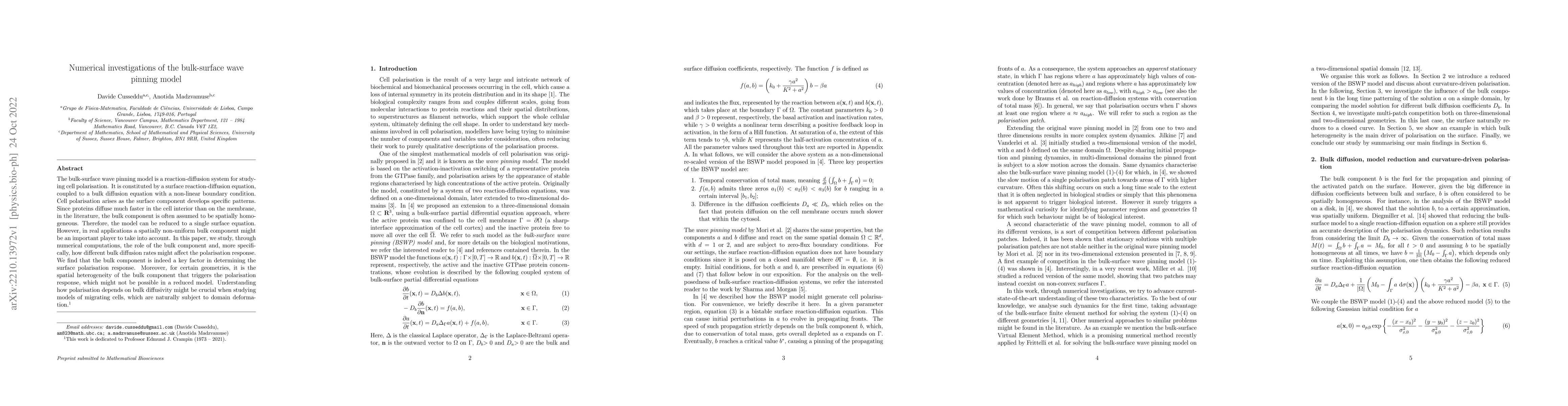 Thumbnail for Numerical investigations of the bulk-surface wave pinning model