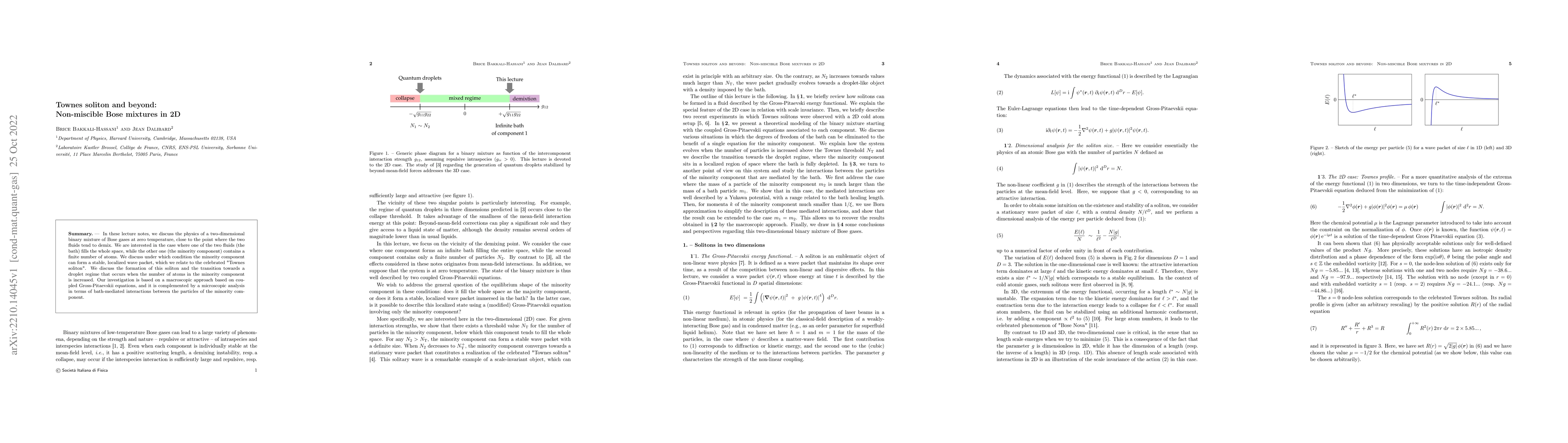 Thumbnail for Townes soliton and beyond: Non-miscible Bose mixtures in 2D