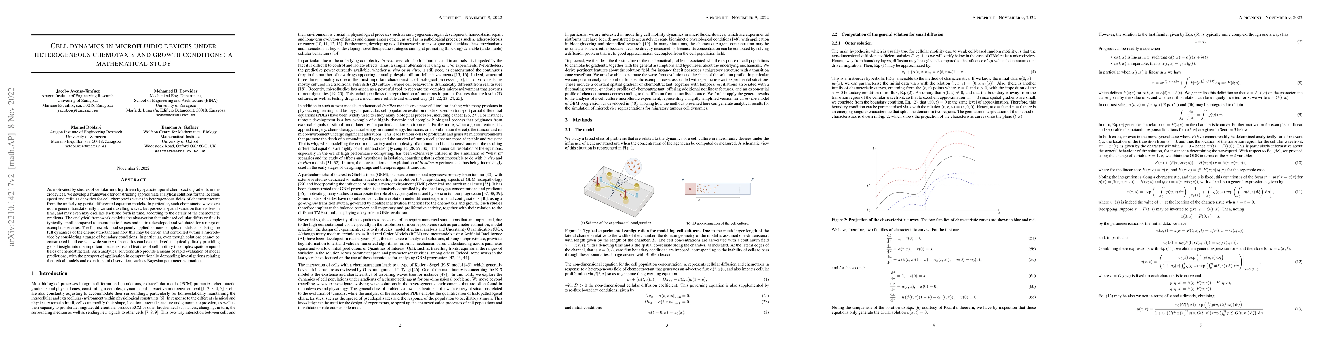 Thumbnail for Cell dynamics in microfluidic devices under heterogeneous chemotaxis and
  growth conditions: a mathematical study