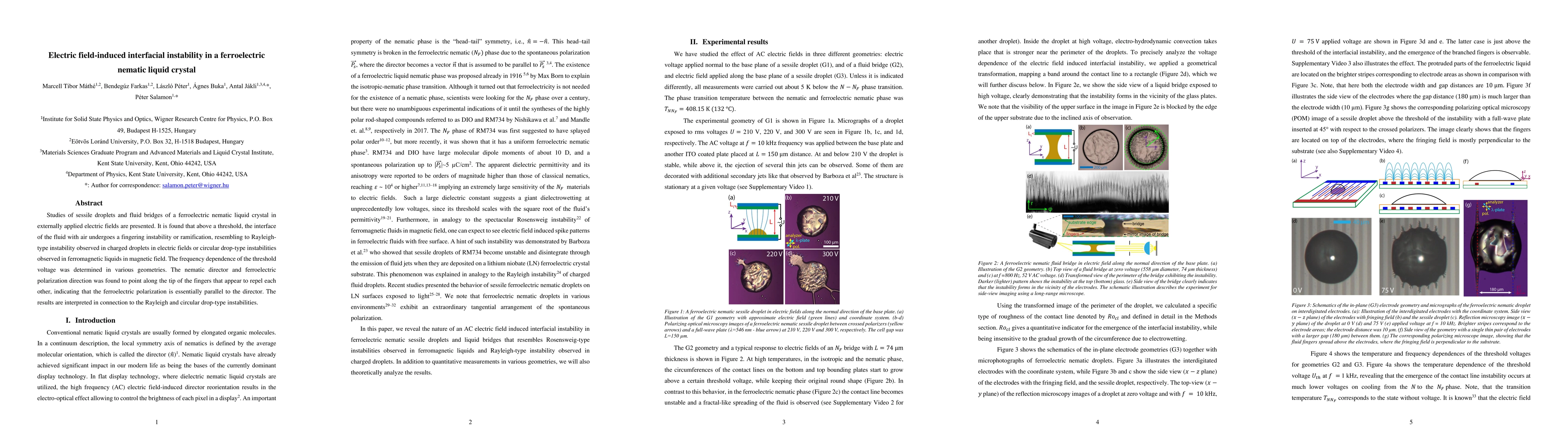 Thumbnail for Electric field-induced interfacial instability in a ferroelectric
  nematic liquid crystal