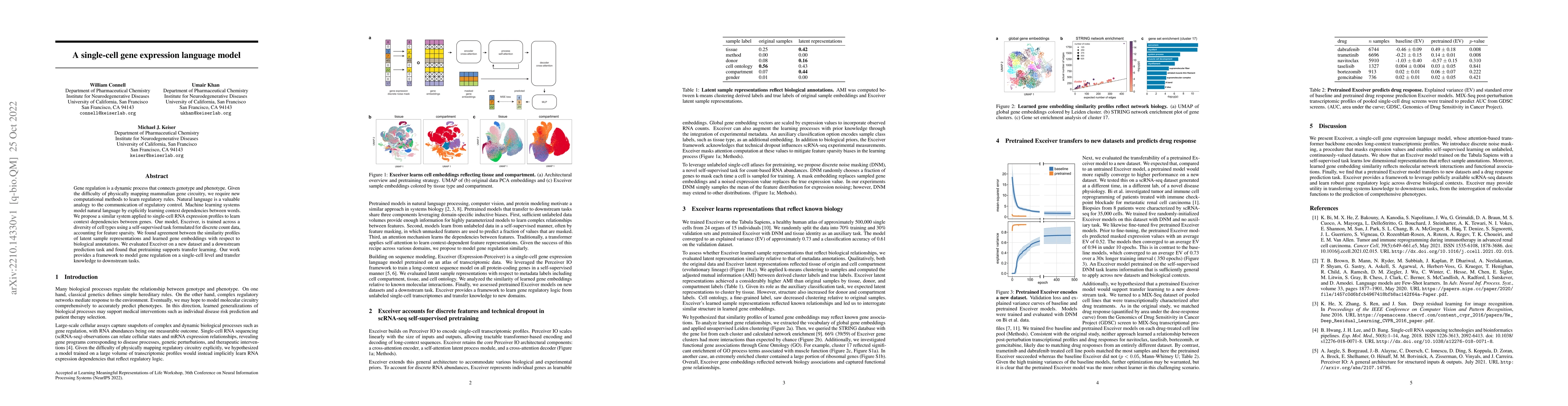 Thumbnail for A single-cell gene expression language model