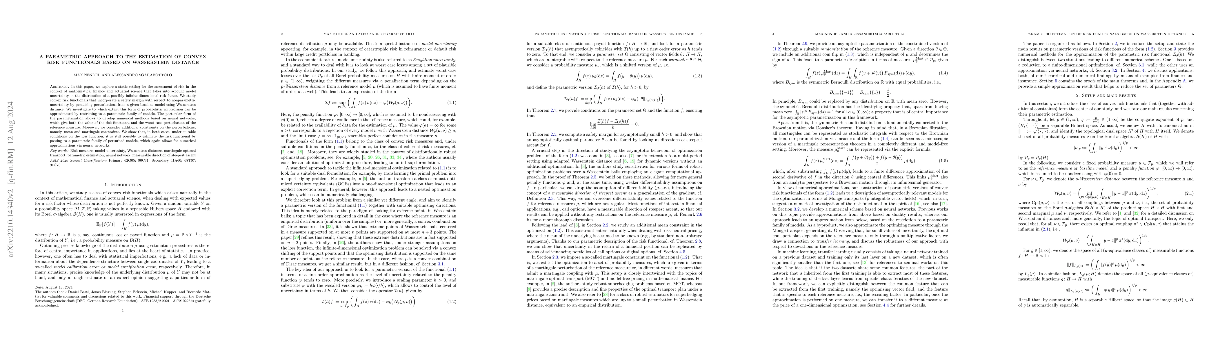 Thumbnail for A parametric approach to the estimation of convex risk functionals based
  on Wasserstein distance
