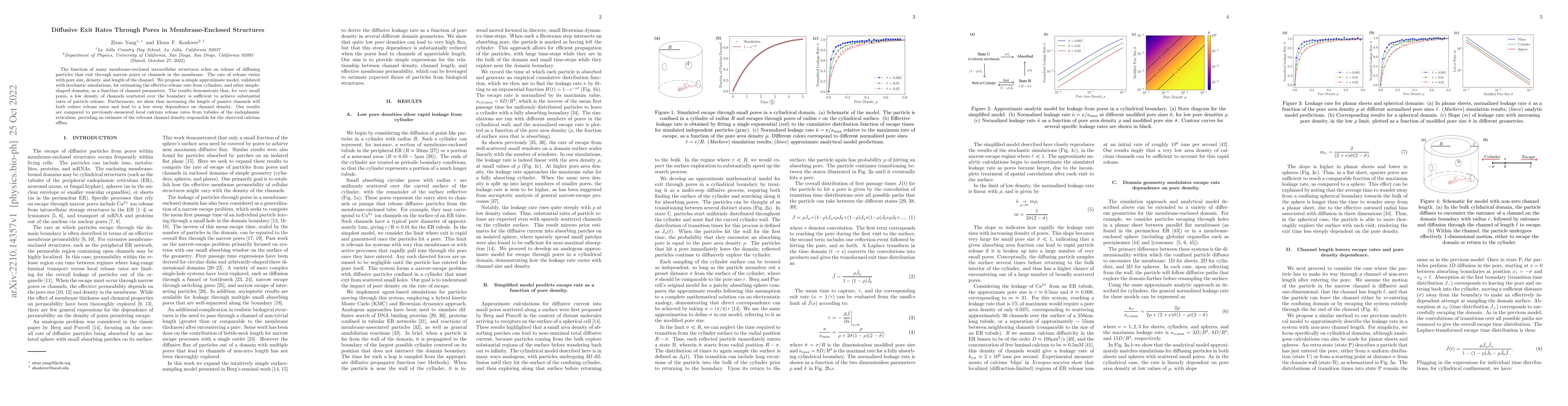 Thumbnail for Diffusive Exit Rates Through Pores in Membrane-Enclosed Structures